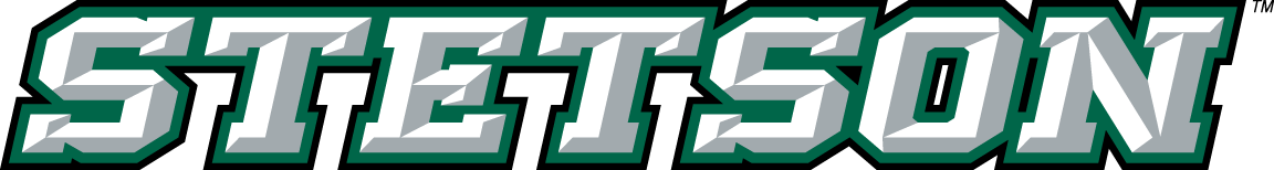 Stetson Hatters 2008-2017 Wordmark Logo diy DTF decal sticker